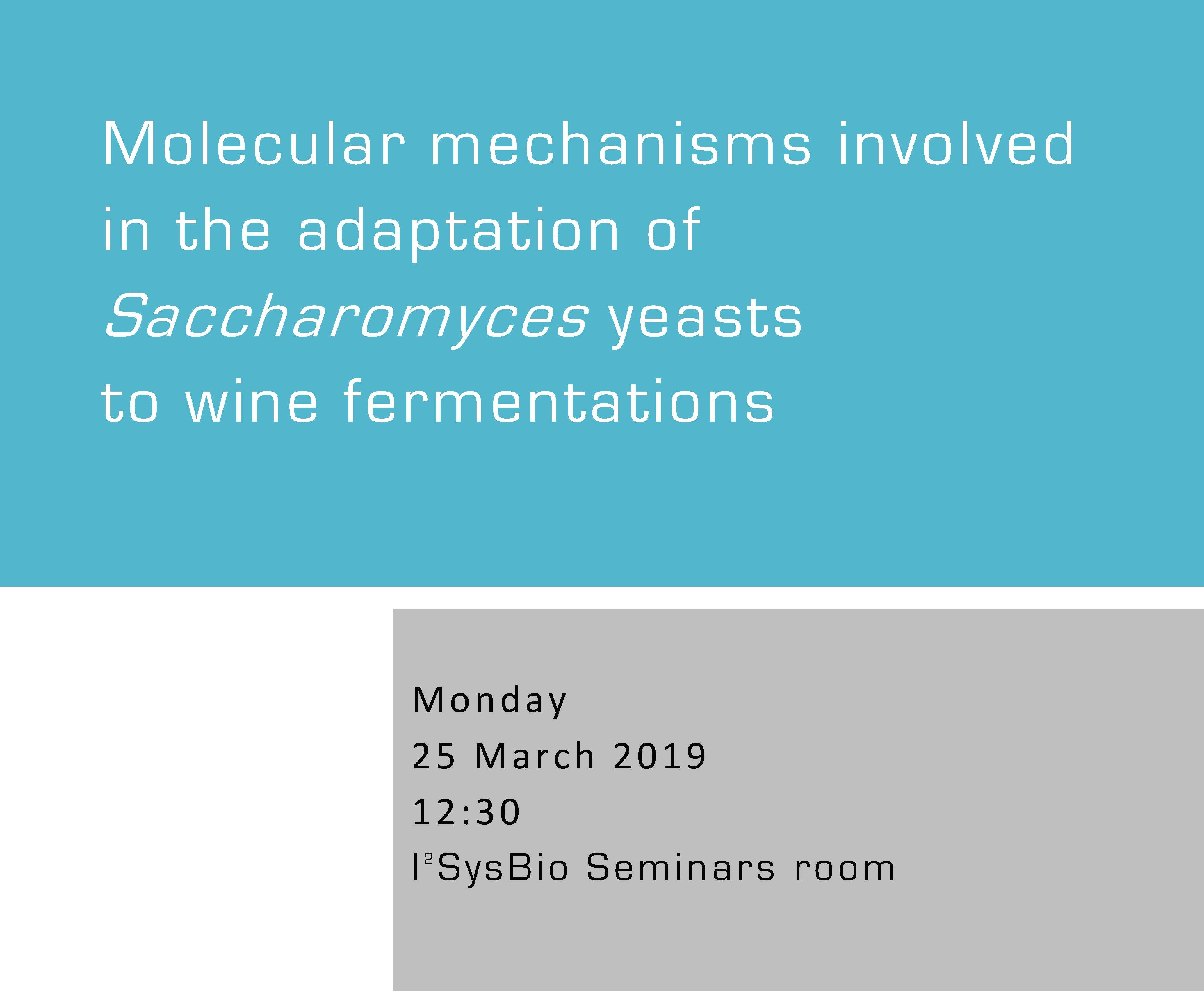 Molecular mechanisms involved in the adaptation of Saccharomyces yeasts to wine fermentations